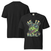 IS IT REAL VINTAGE TEE | Heavyweight Unisex Graphic Shirt